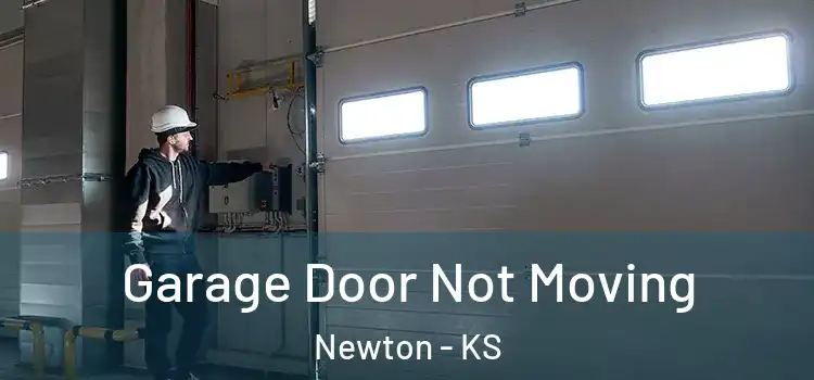  Garage Door Not Moving Newton - KS