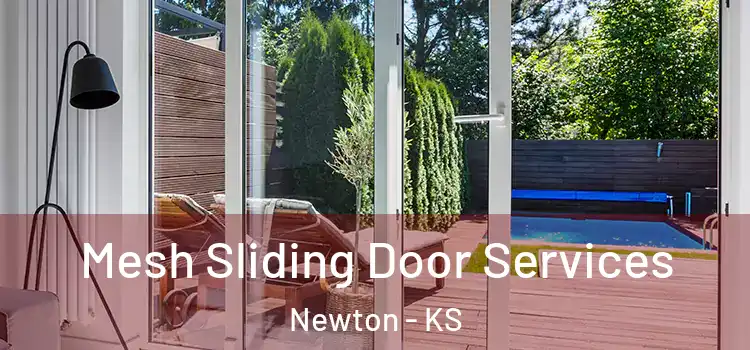 Mesh Sliding Door Services Newton - KS